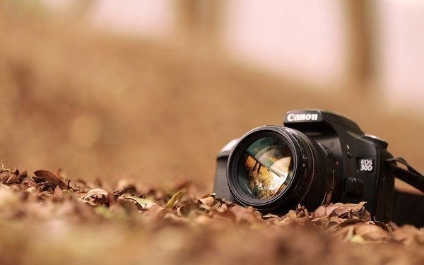 DERECHOS DE AUTOR FOTOGRAFÍA Y LOS BANCOS DE IMÁGENES